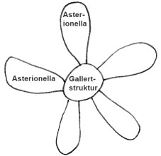 Asterionella