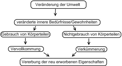 Lamarcks Erklärung der Evolution