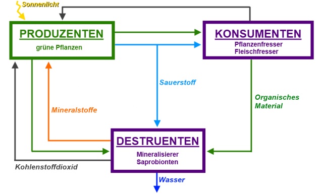 Kreislauf der Stoffe